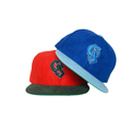 CS Snapback